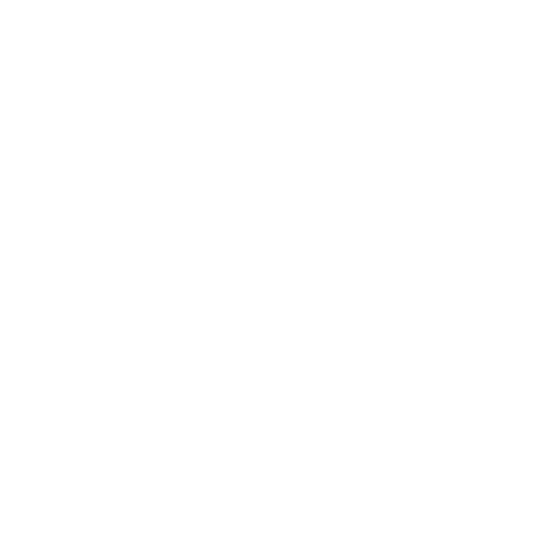 akcija